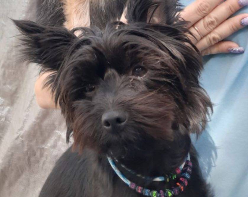 🆘⚡❗ Помогите найти ❗⚡🆘 Пропала...