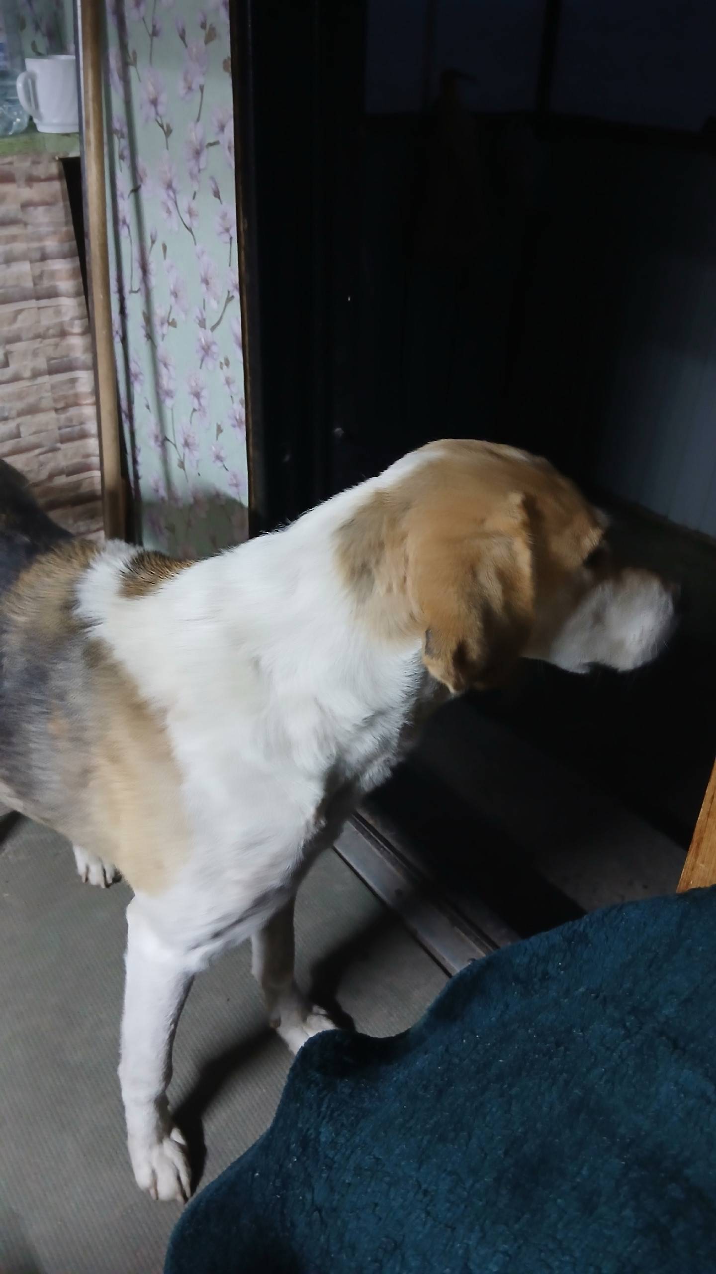 Доброе утро, у кого потерялась...