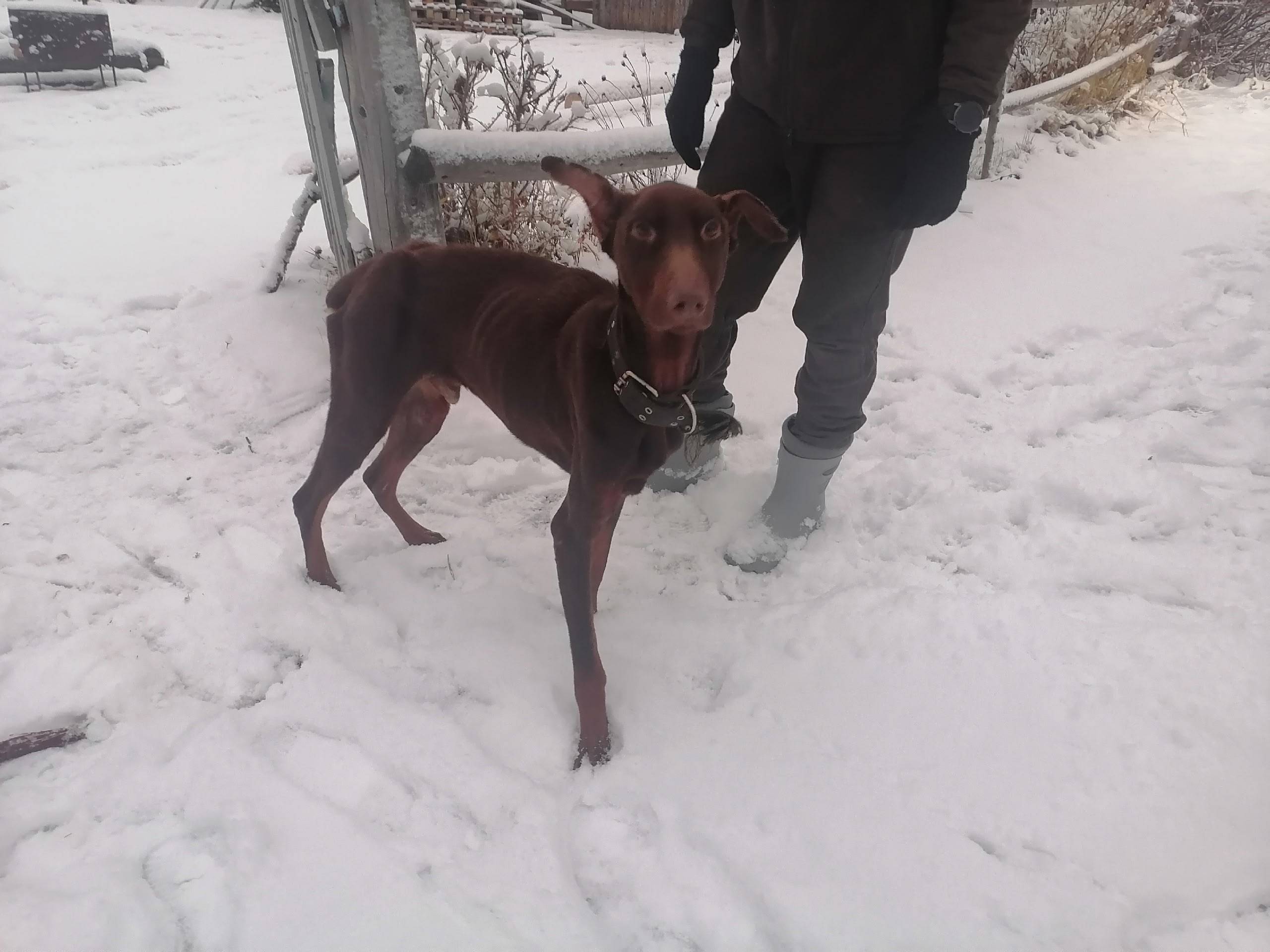 Сегодня на четлоской дороге бы...