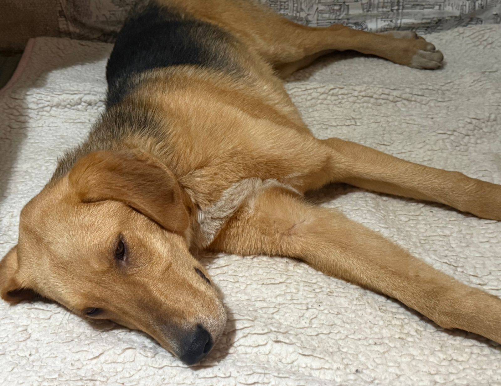 Максимальный репост!По трассе ...