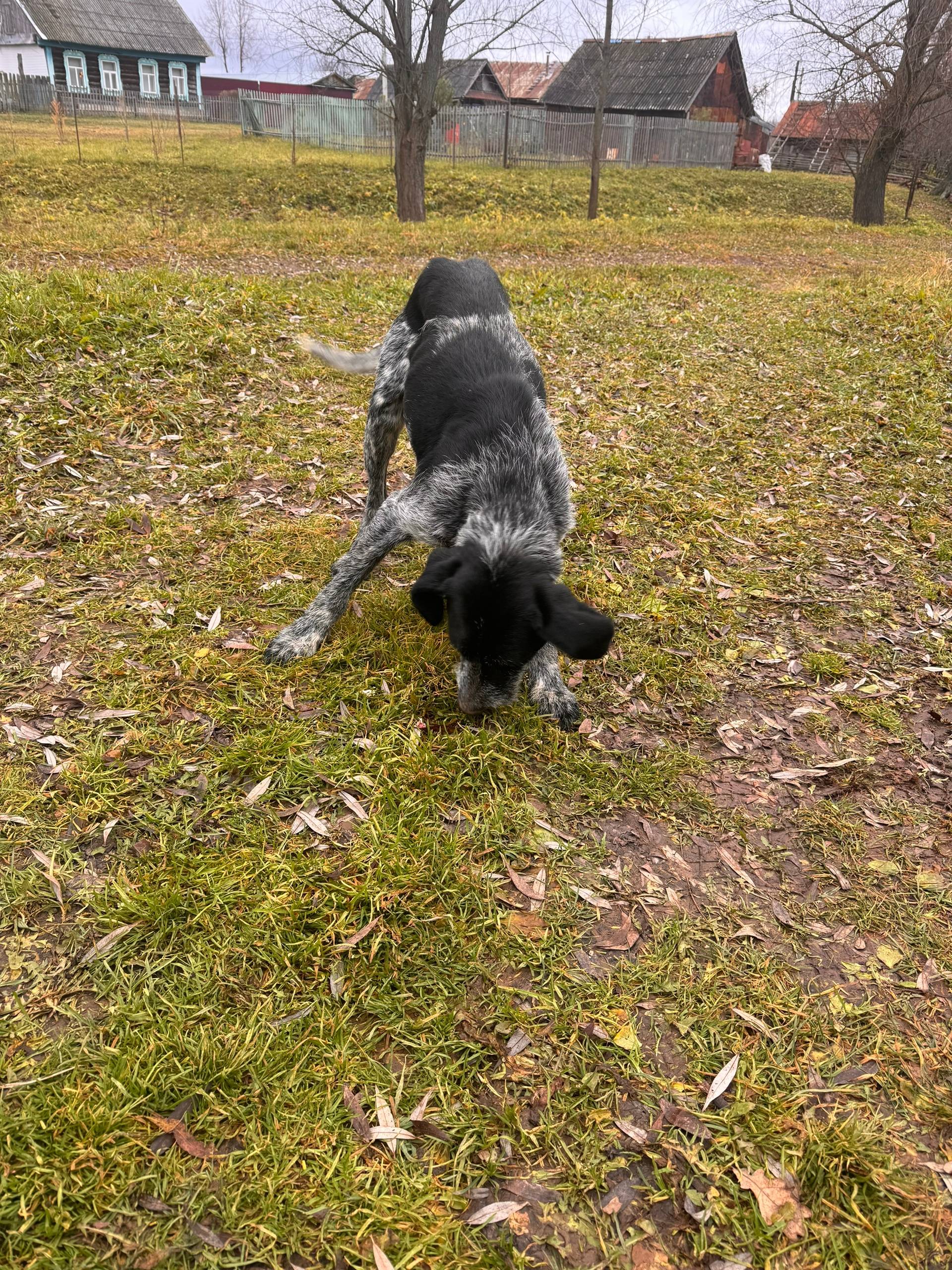 В Мамадышском районе в поселке...