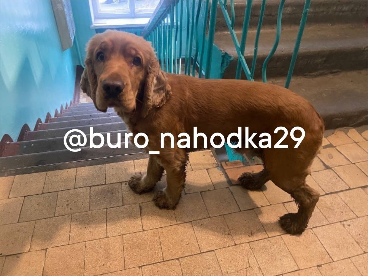 Нашли на почтовом тракте (преи...