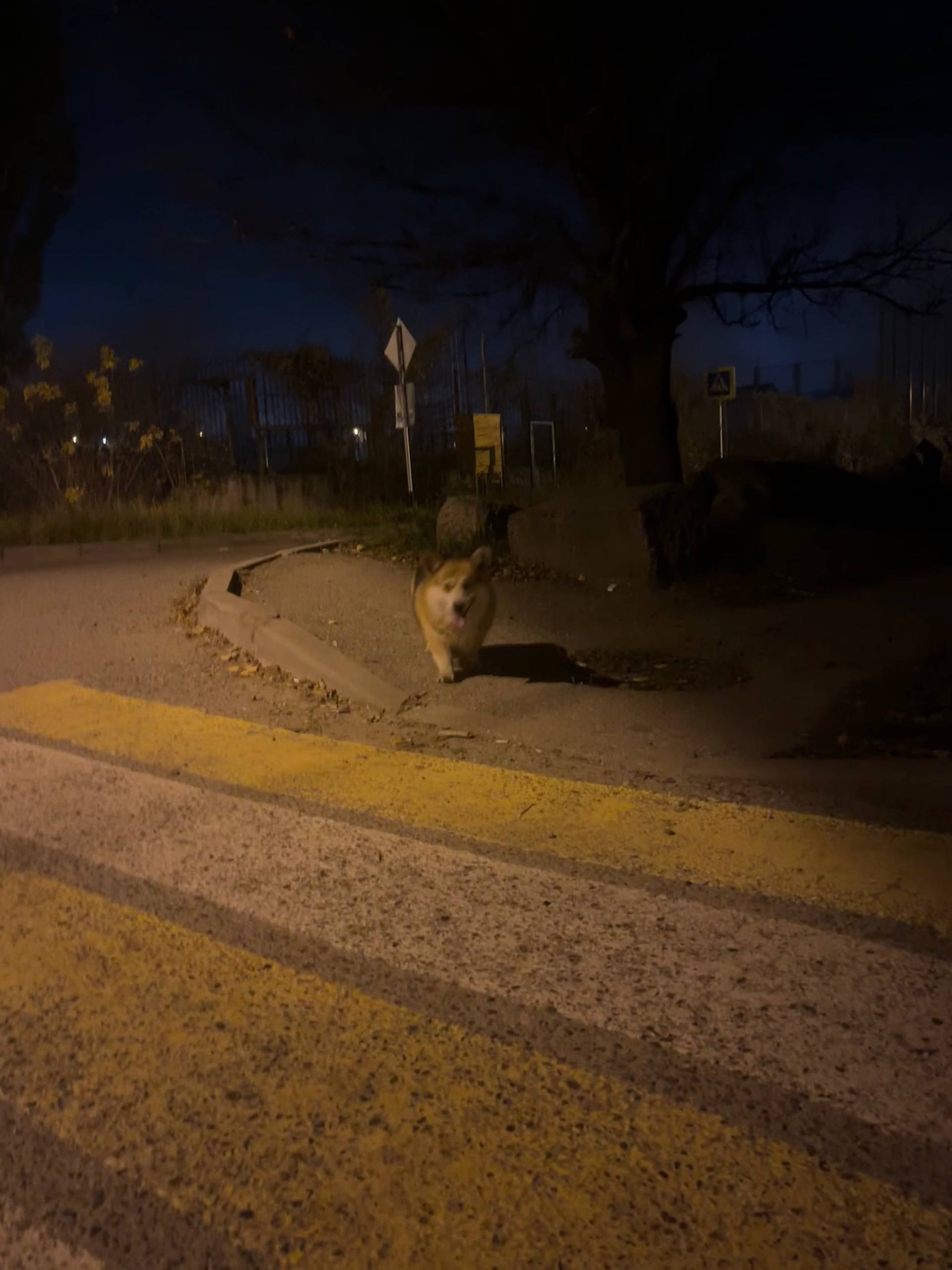 На Ташле в районе 11 школы...