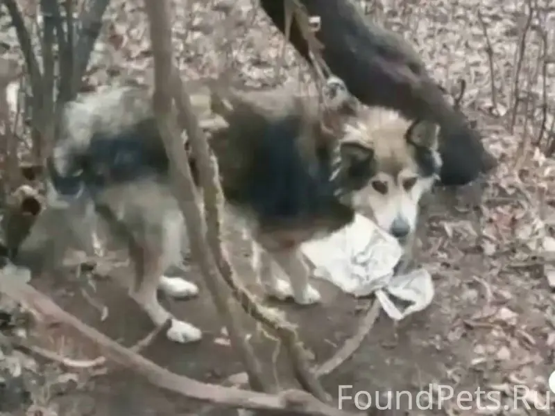 УВАЖАЕМЫЕ ГОРОЖАНЕ!! Нужна ИНФ...