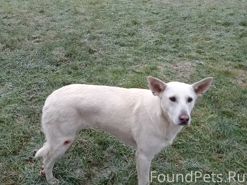 📣 Егорьевск МО 📣 📣 Друзья...