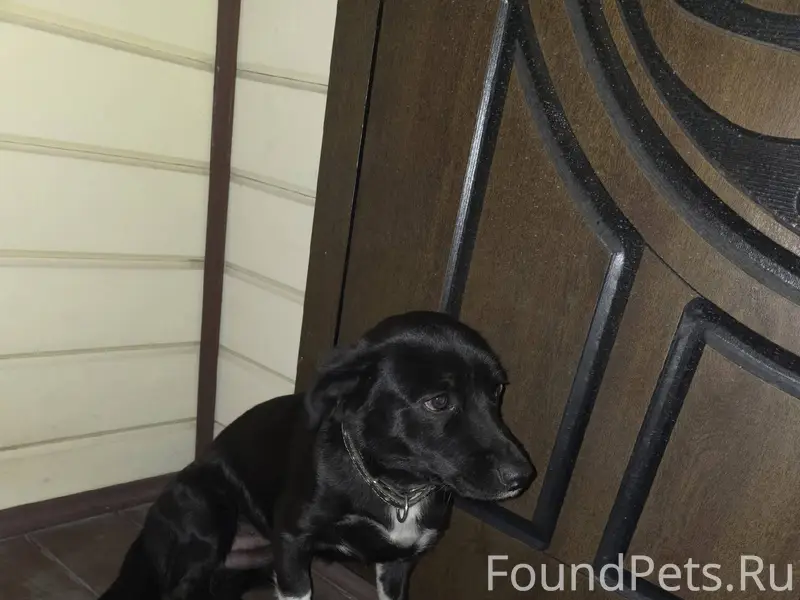 Здравствуйте, в с. Михеево убе...