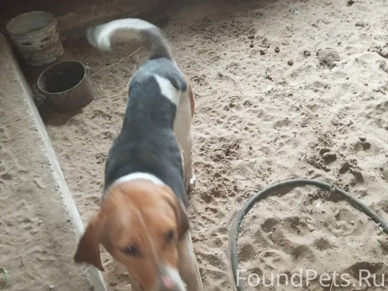 Всем здравствуйте, была найден...