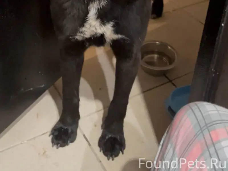 По адресу Победы 22В уже неско...