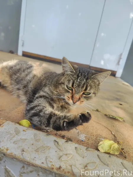 Её просто выкинули на улицу......