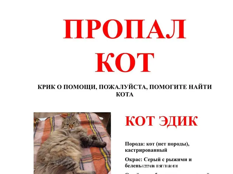 ПРОПАЛ КОТ в районе Аксаково -...