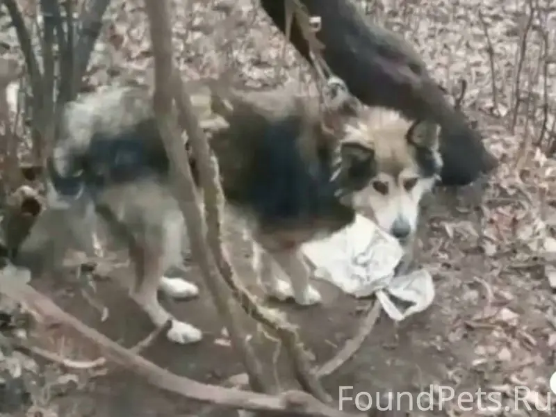 УВАЖАЕМЫЕ ГОРОЖАНЕ!! Нужна ИНФ...