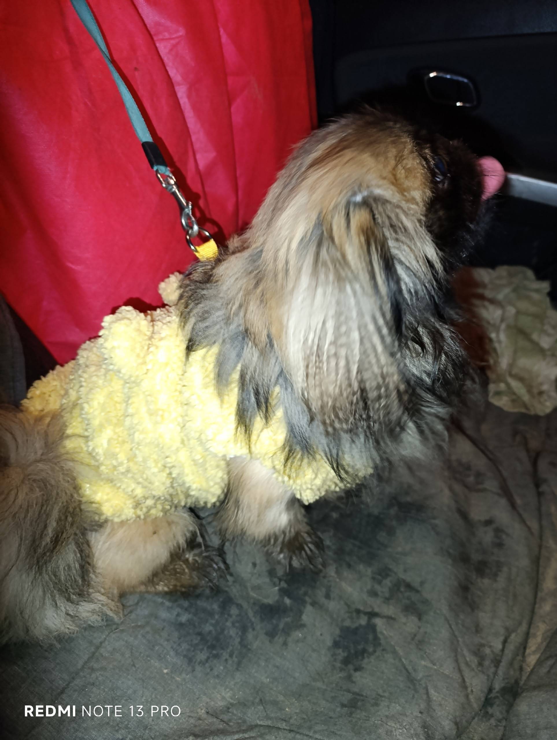 Кто потерял собаку? Район мебе...