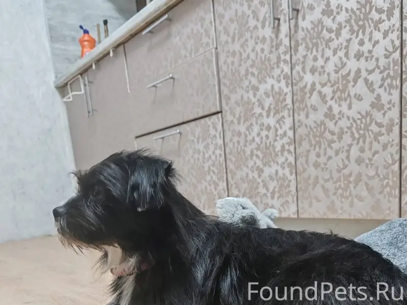 Друзья!Помогите репостом! Мкр ...