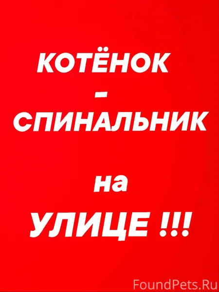 #помогаю_информационно 🆘ПЕРЕБИ...