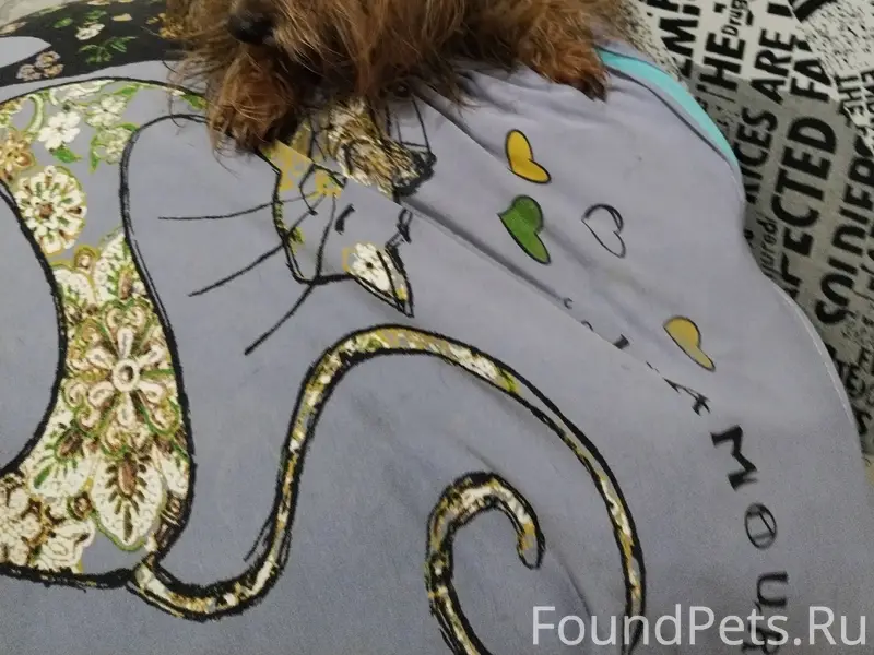 Московский район Рязань найден...