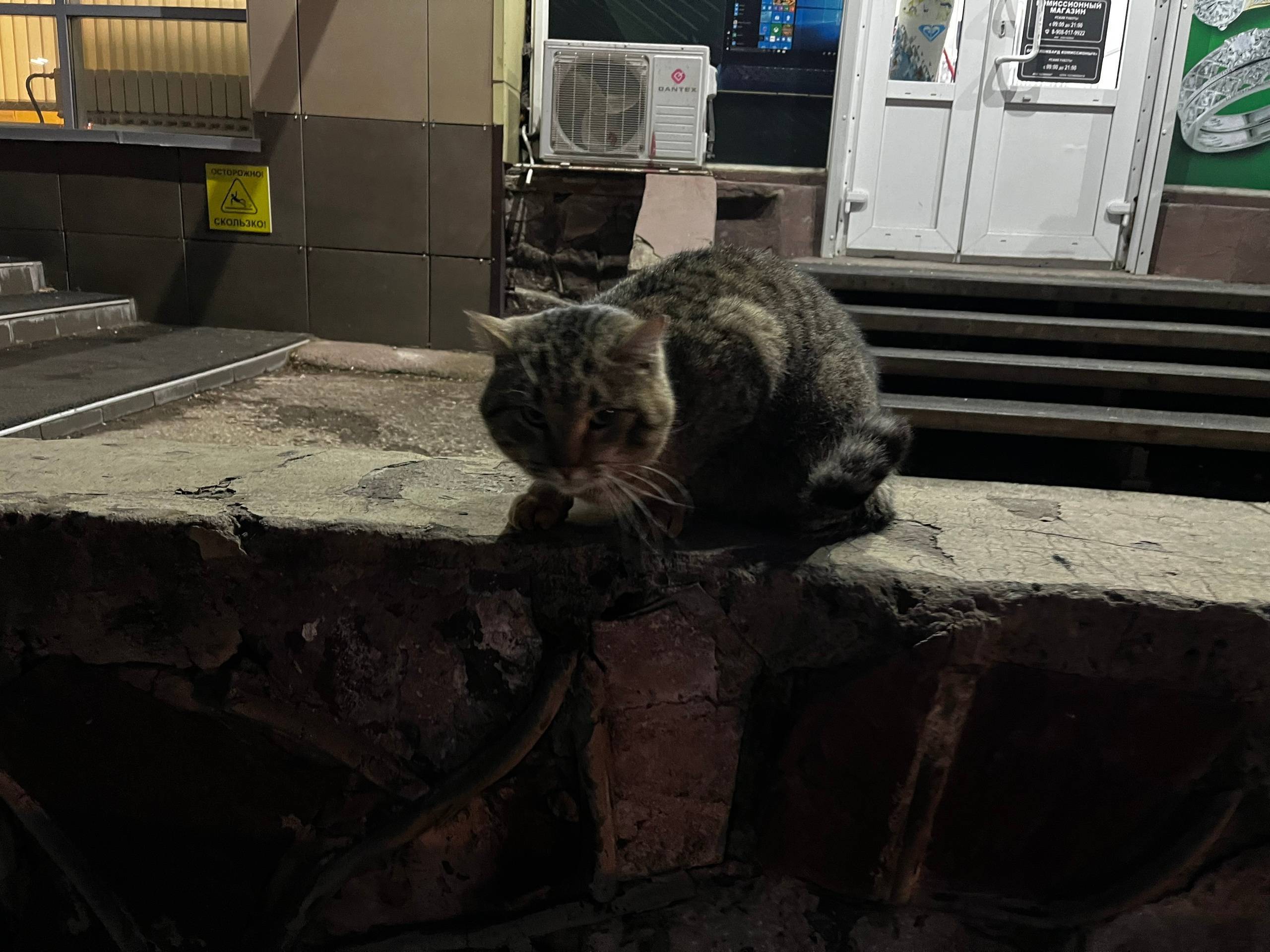 Около «Пятерочки» на Абаканско...