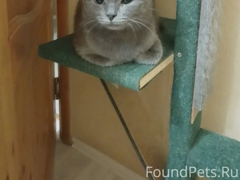 Админ выложи пожалуйста.Пример...