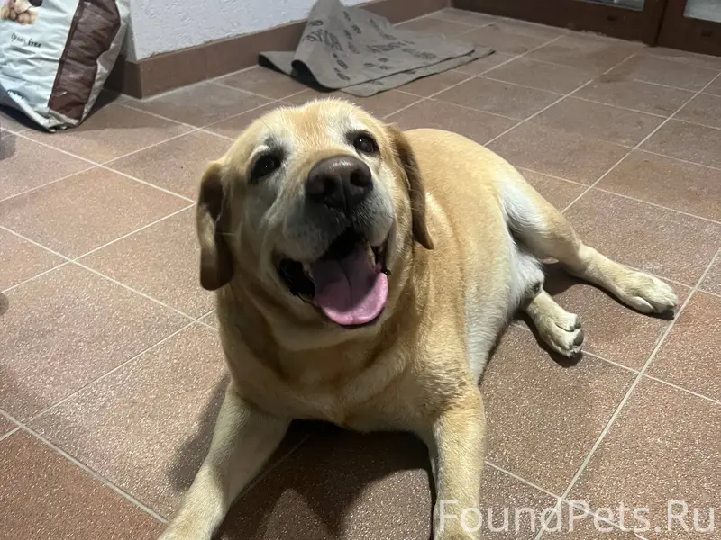 Геленджик, Голубая бухта Найде...