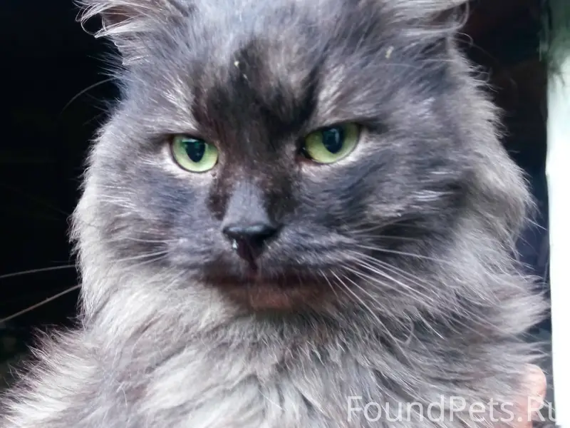 Г. Сатка Челябинской области 🆘...