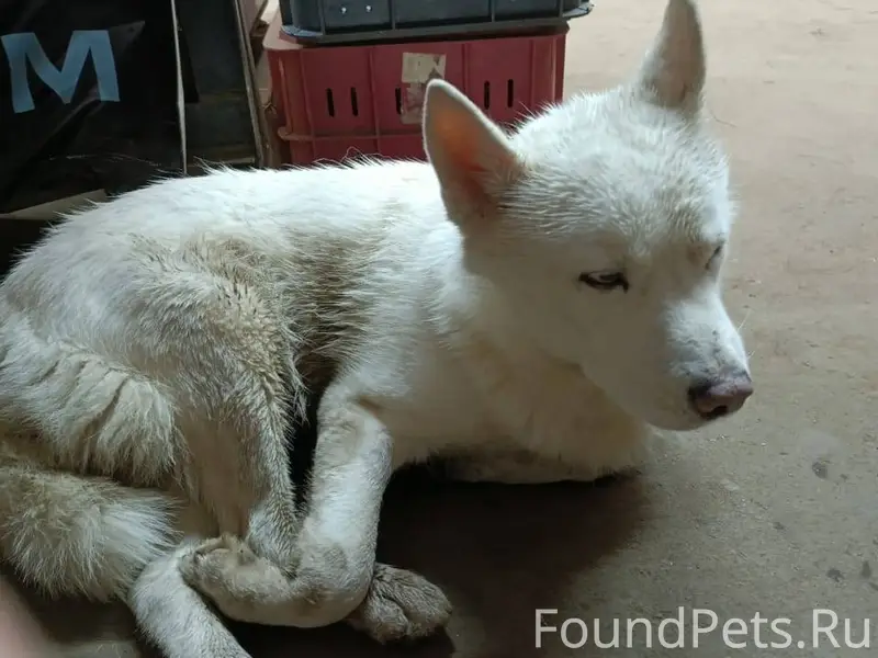 10.12.2025 13:42 На...