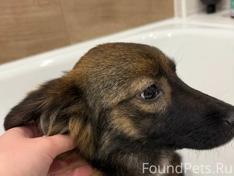 Добрый вечер, в районе улицы Е...