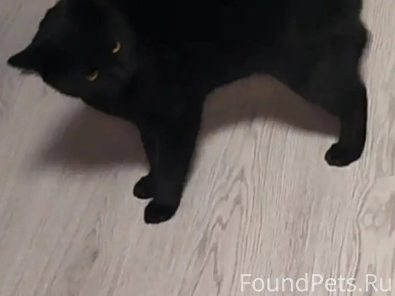 📍ул. Чехова, г. Обь Пропала вз...