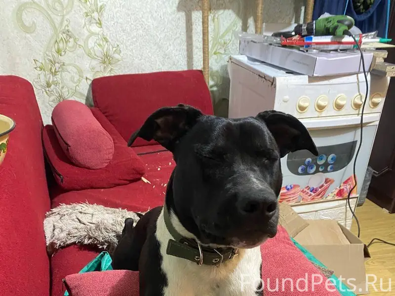 Обращаемся к неравнодушным! Пр...