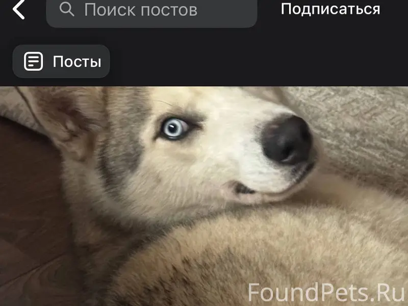 Здравствуйте , здесь выложили ...