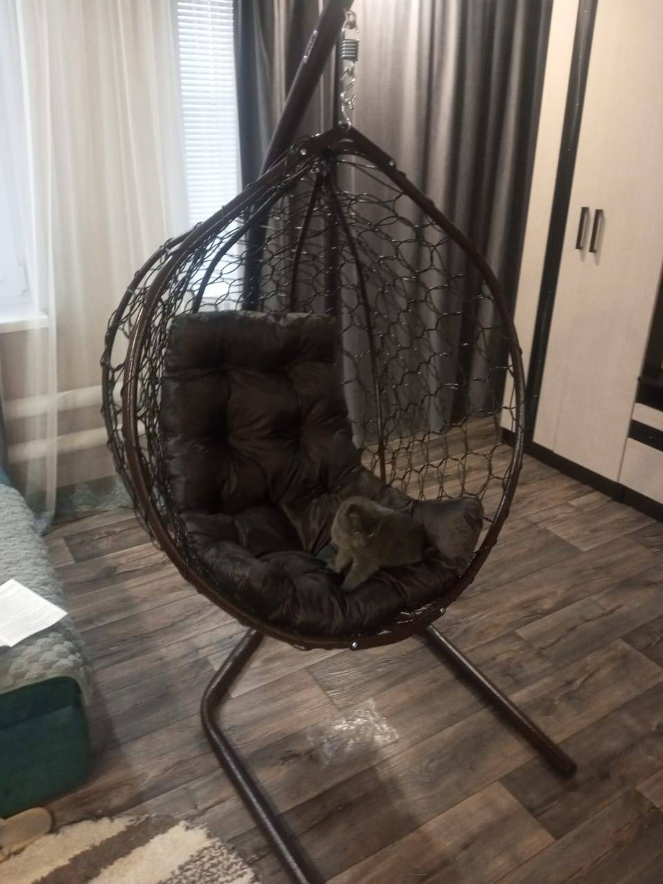 Пропал кот просьба к нашедшему...