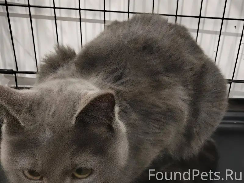 И снова у нас новый подопечный...