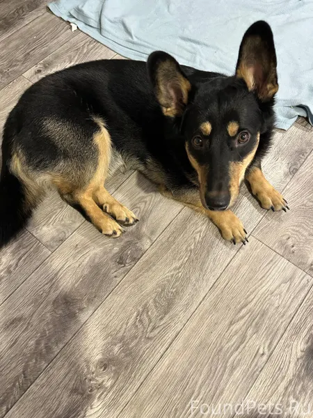 Очень прошу - максимальный реп...