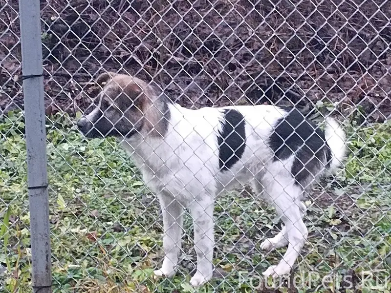 НАЙДЕН (ЗАМЕЧЕН) Помогите найт...