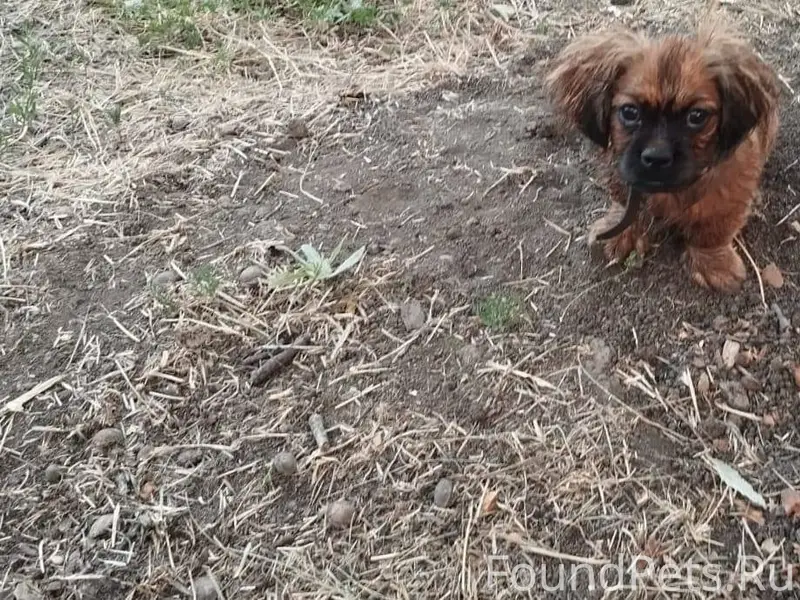 ‼️БАТАЙСК‼️РОСТОВ‼️ВНИМАНИЕ‼️П...