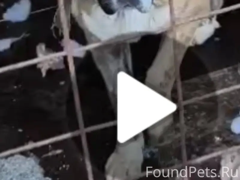 ❗❗❗ПОМОГАЕМ ИНФОРМАЦИОННО❗❗❗ 9...