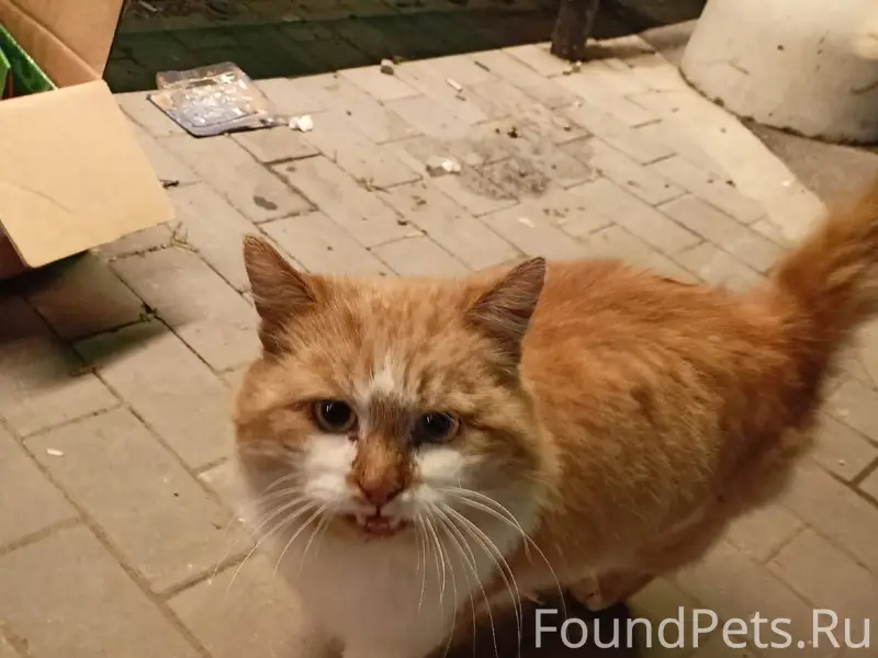 Помогаю информационно. Около м...