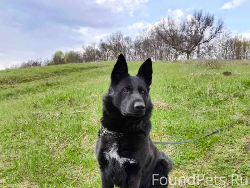 🆘⚡❗ Помогите найти ❗⚡🆘 📍Тавров...