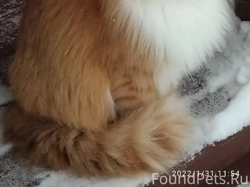 08.12.25 в районе Ленинградско...