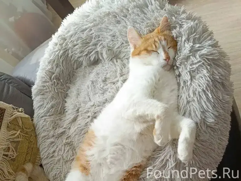 ❗ В районе Малеевки В своих...