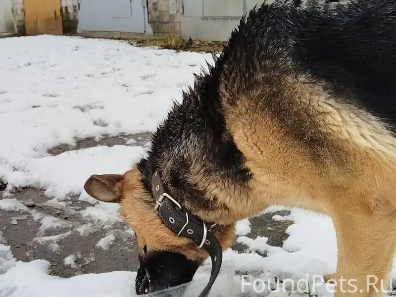 Добрый день. Прошу опубликоват...