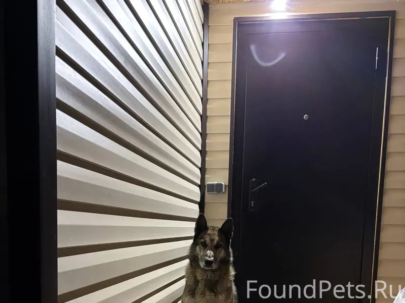 Здравствуйте! Никто не терял с...