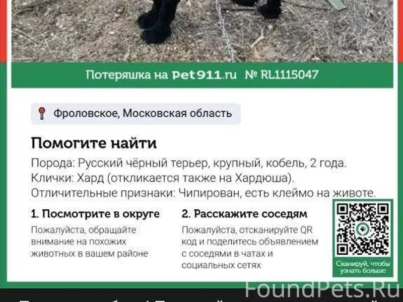 МО. Шаховской район. Пропала с...