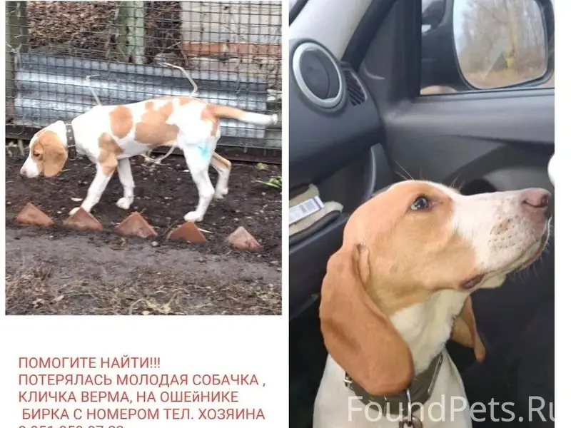 Помогите найти!!! 30.11.25 про...