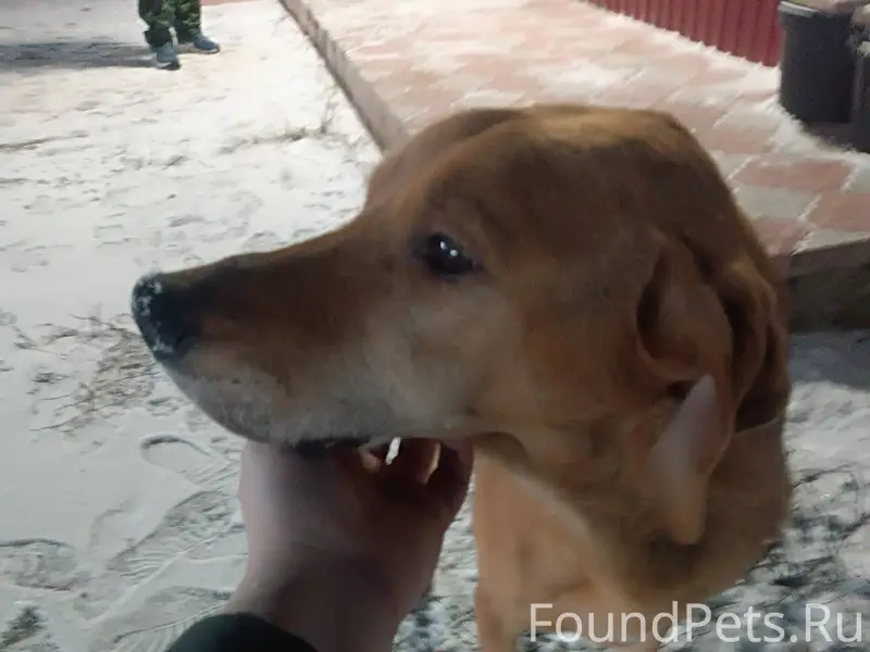 Сегодня, 11.12.25 вечером, на....