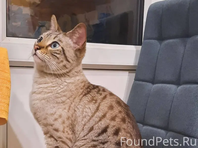 На улице Катукова возле молком...