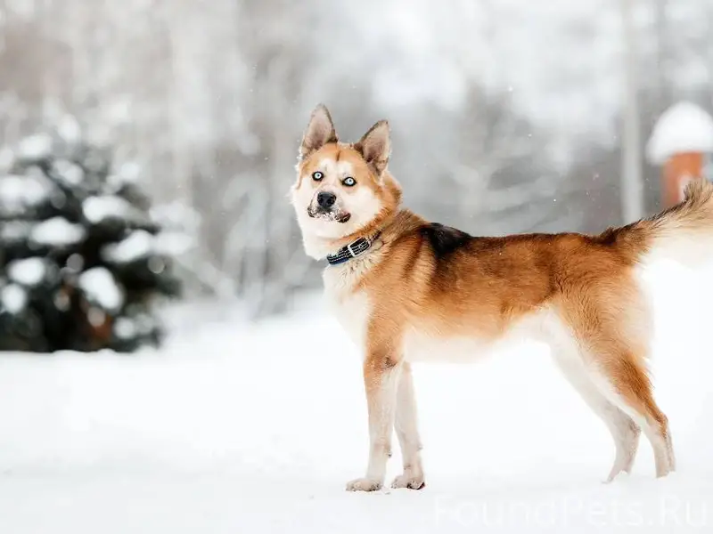 Чеховский район Стремилово