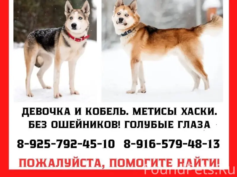 Пост помощи Марина Губарькова ...