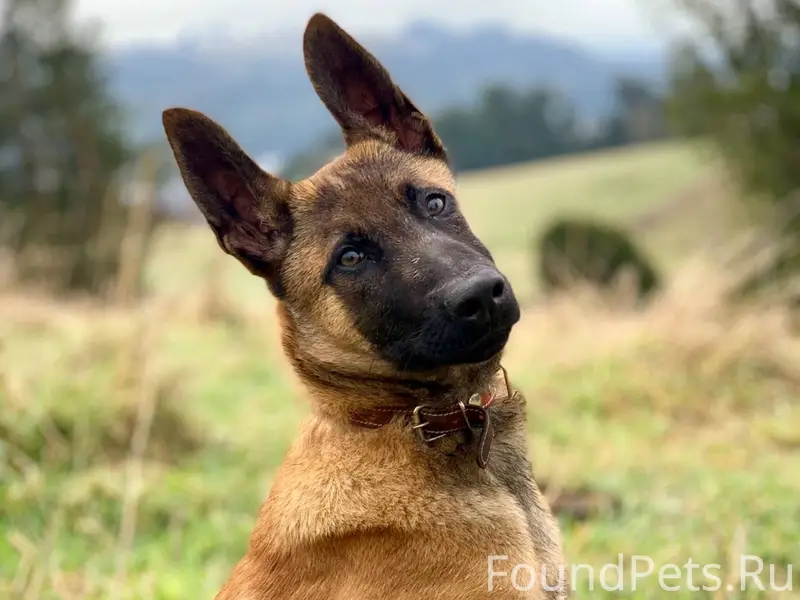 Здравствуйте в районе Батурок(...