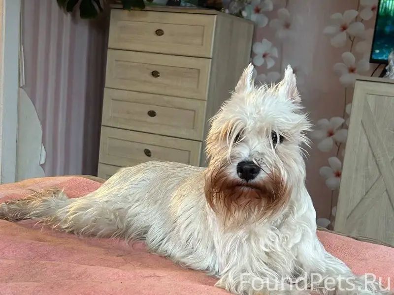 Присмотритесь вдруг где то вид...