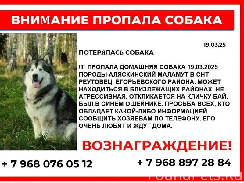 🔥❗️❗️ ПОИСКИ ПРОДОЛЖАЮТСЯ ❗️❗️...