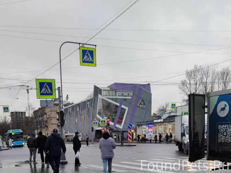 Сегодня мы с Таней спасли моло...